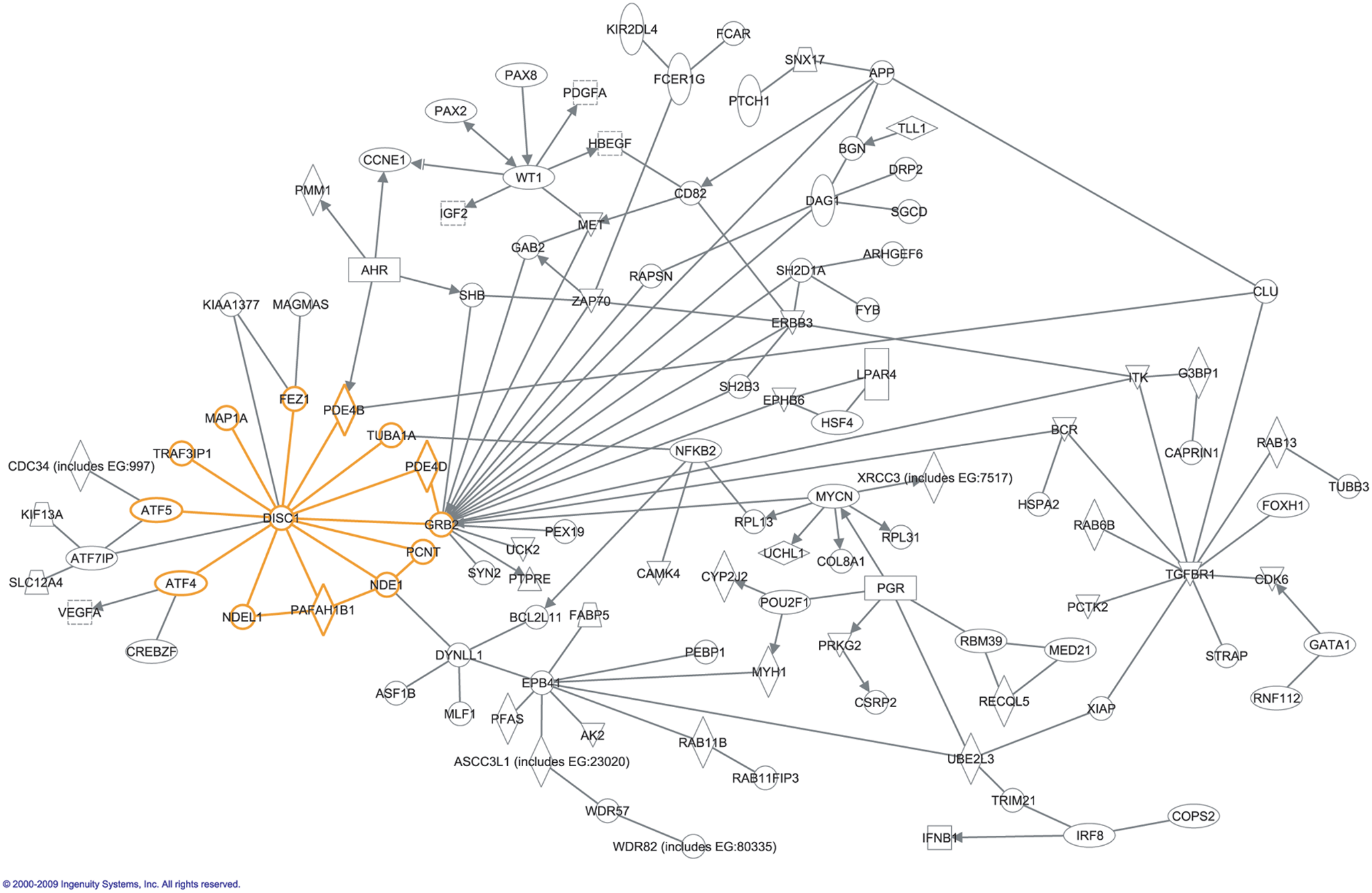 Properties of PPINs: scale-free networks  Network analysis of protein  interaction data