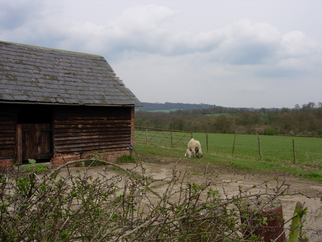 File:Old Cow Barn and sheep feeding her lambs - geograph.org.uk - 156143.jpg