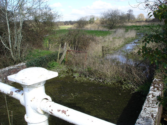 File:Overgrown drainage channel behind Breamore Mill - geograph.org.uk - 375559.jpg