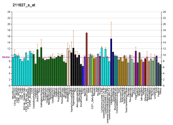 File:PBB GE KCND3 211827 s at fs.png