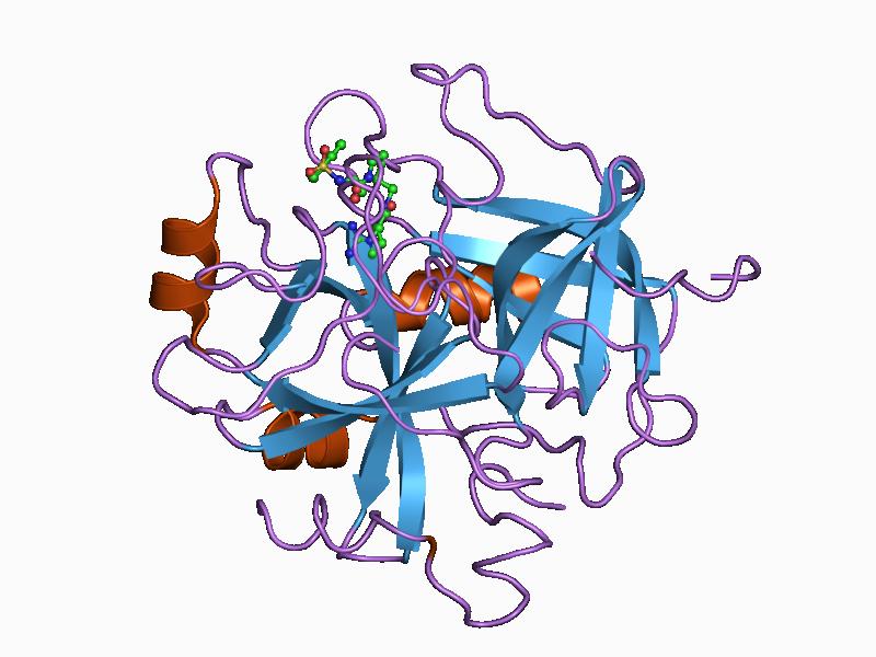 File:PDB 1bmn EBI.jpg