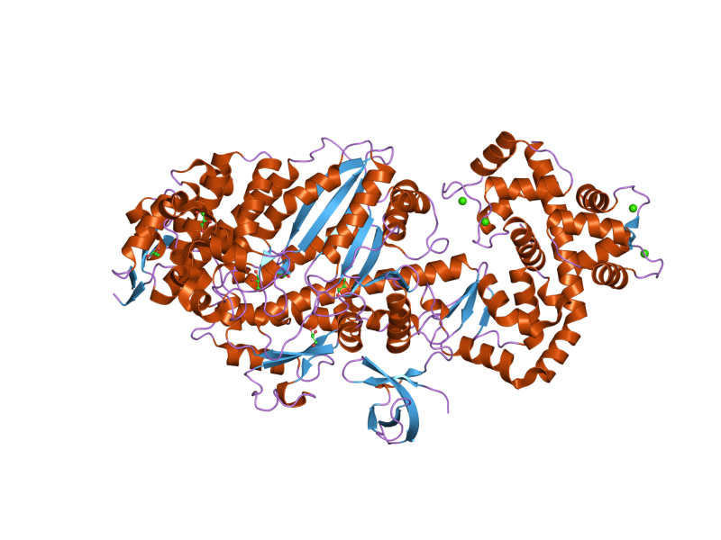 File:PDB 2bkh EBI.png