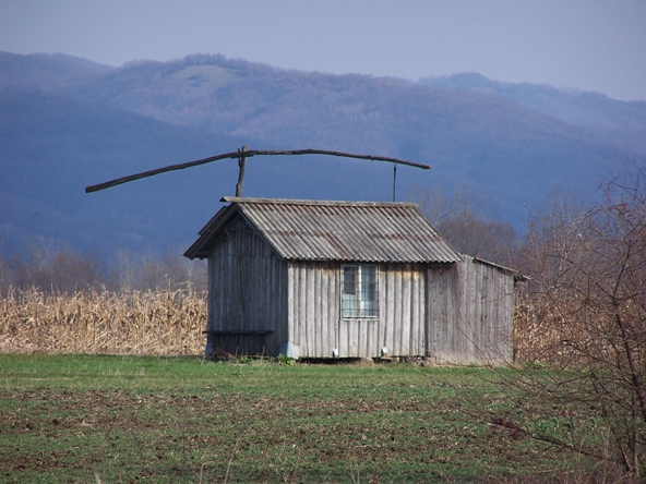 File:Podunavci, Serbia - panoramio.jpg