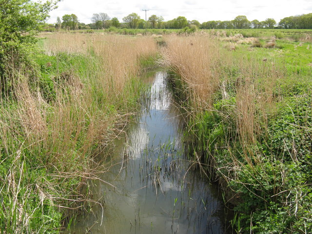 File:River Adur tributary - geograph.org.uk - 1273753.jpg