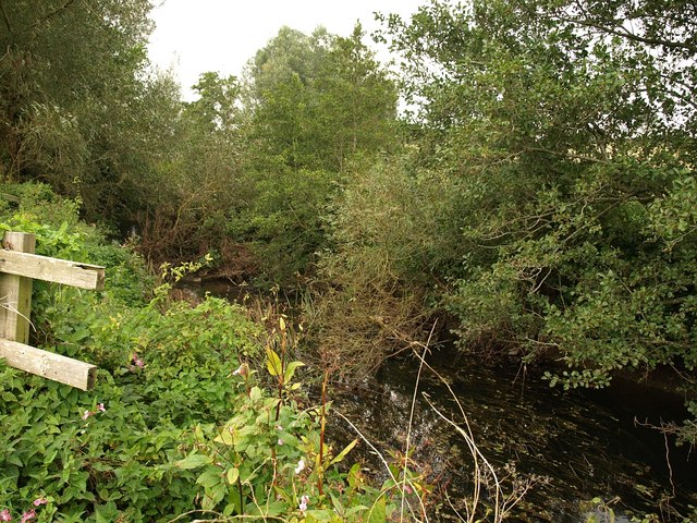 File:River Parrett - geograph.org.uk - 1503778.jpg