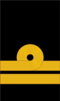 File:Russian Navy (Provisional Government 1917) OF-4 - sleeve.png