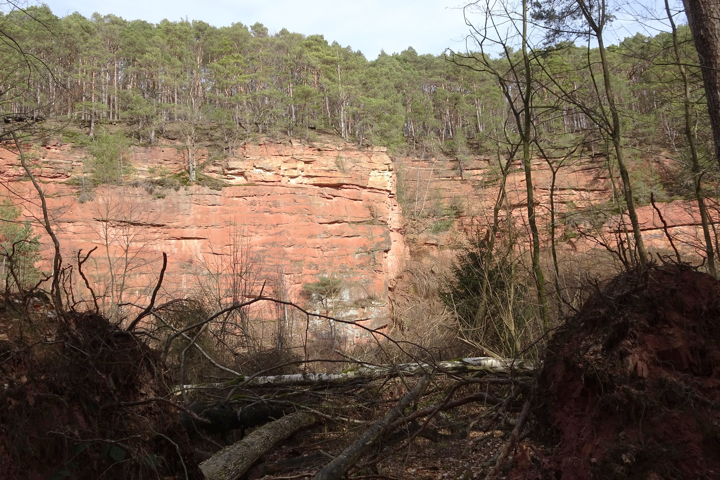 Nature reserve „Sandsteinbrüche am Burzelberg bei Frau-Nauses“ (Groß-Umstadt, Landkreis Darmstadt-Di...