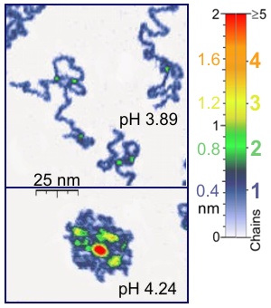 <span class="mw-page-title-main">Single-molecule experiment</span>