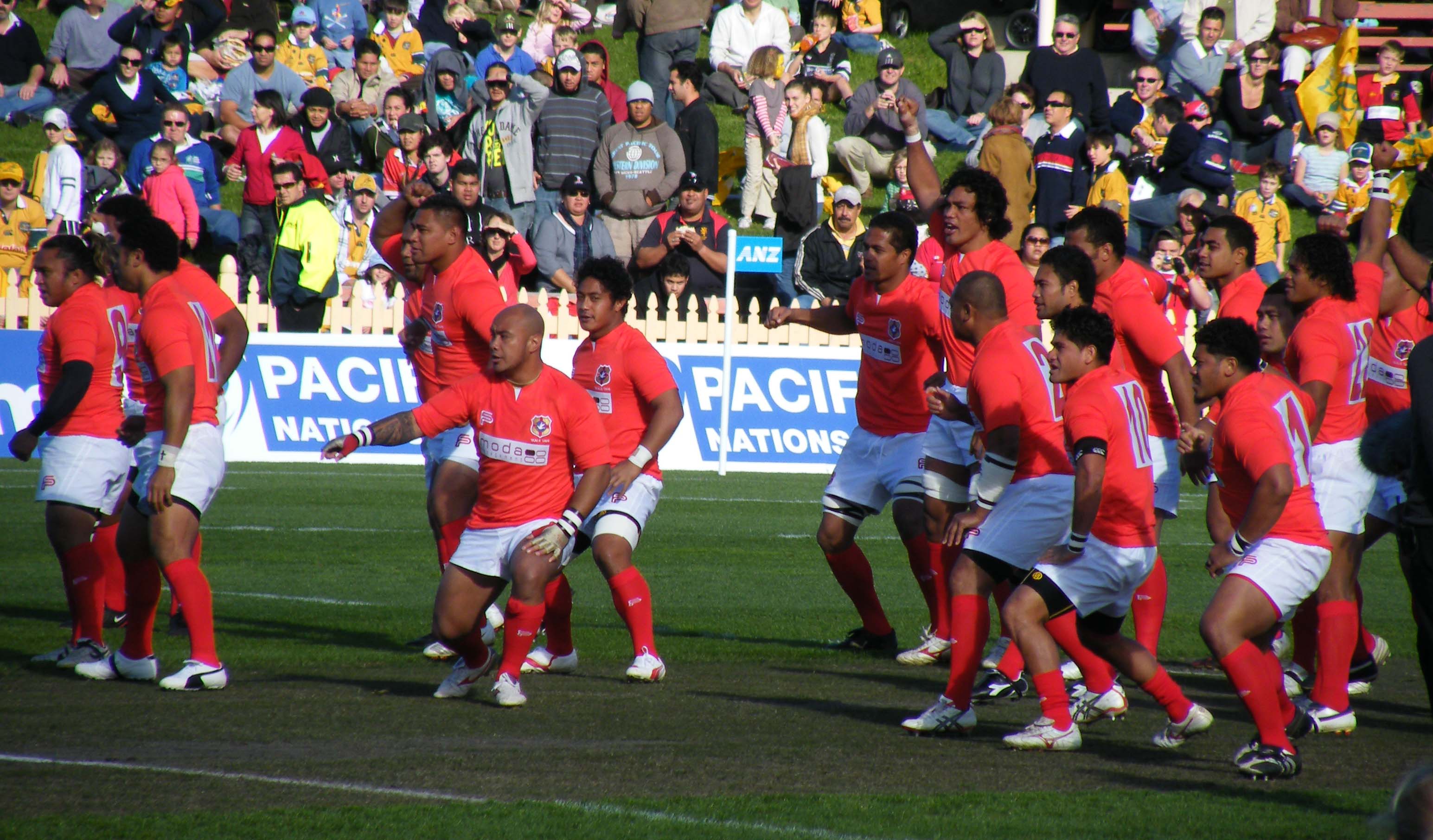 Rugby union in Tonga - Wikipedia