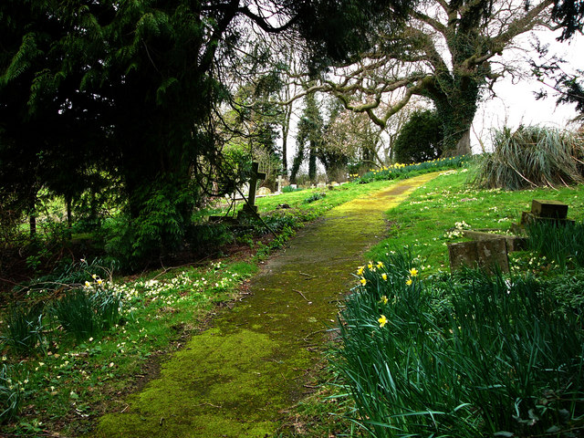 File:St Mary's churchyard, Bepton - geograph.org.uk - 736317.jpg