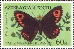 File:Stamp of Azerbaijan - 1995 - Colnect 90474 - Butterfly Pararge adrastoides.jpeg