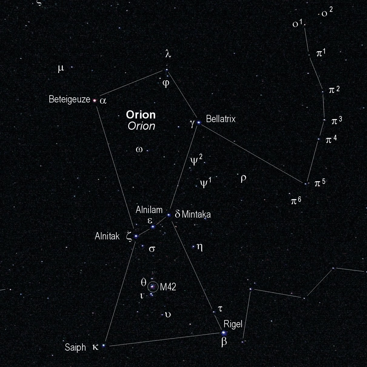 Минтака. Беллатрикс звезда в созвездии Ориона. Альнилам Созвездие. Минтака Созвездие Орион. Бетельгейзе в созвездии Ориона схема.