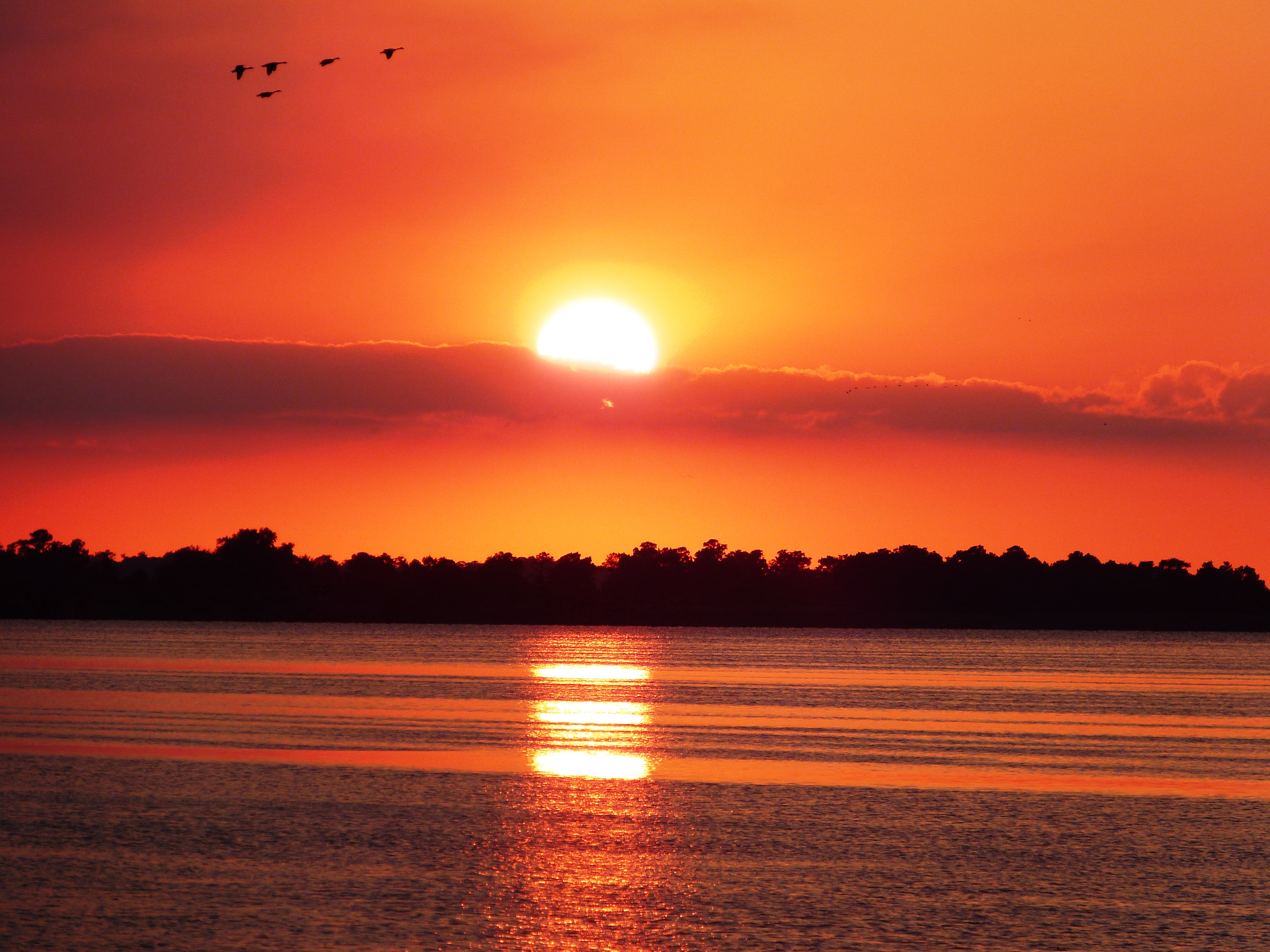 Sunset over Lake Mattamuskeet with ducks in the sky %2812331241493%29