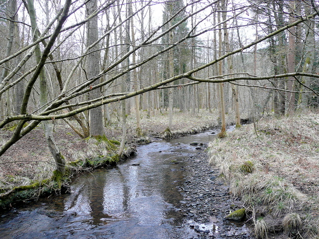 File:The Blackpool Brook - geograph.org.uk - 1746498.jpg