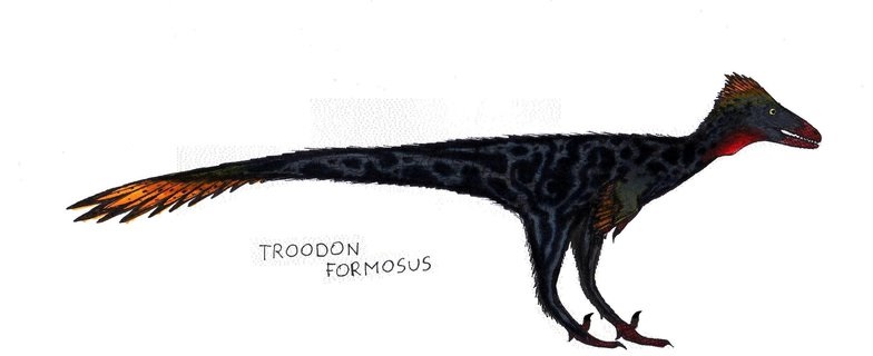 Troodon (cropped)