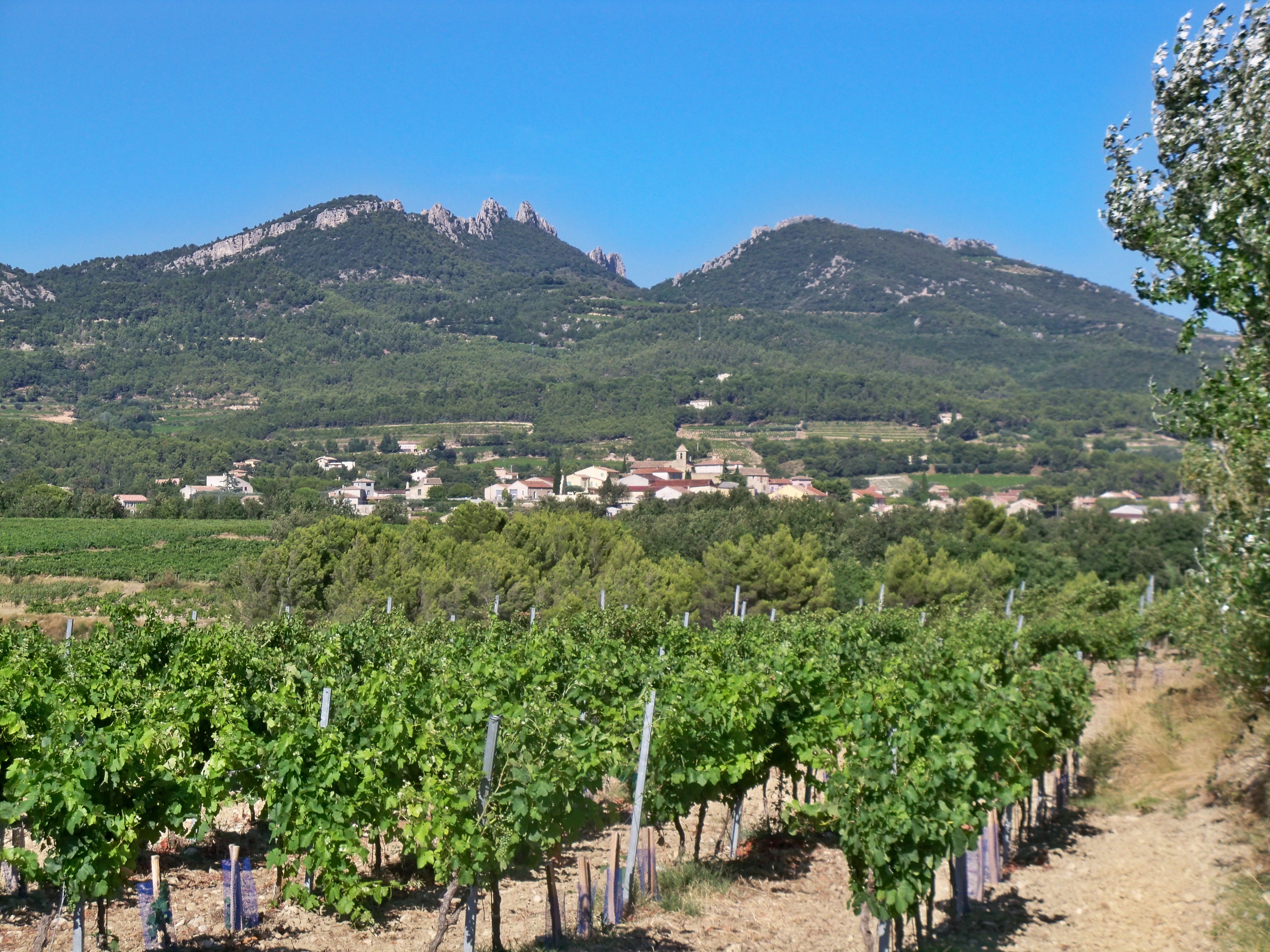 Fichier:Vacqueyras et Dentelles de Montmirail.JPG — Wikipédia