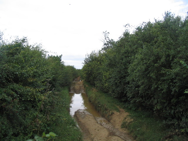 King Lud's Entrenchments and The Drift