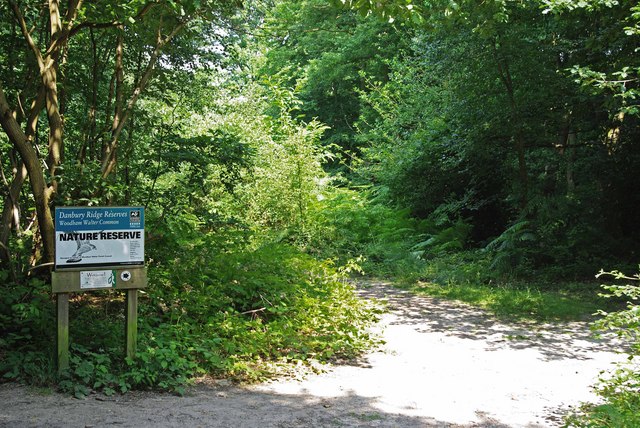 Woodham Walter Common SSSI