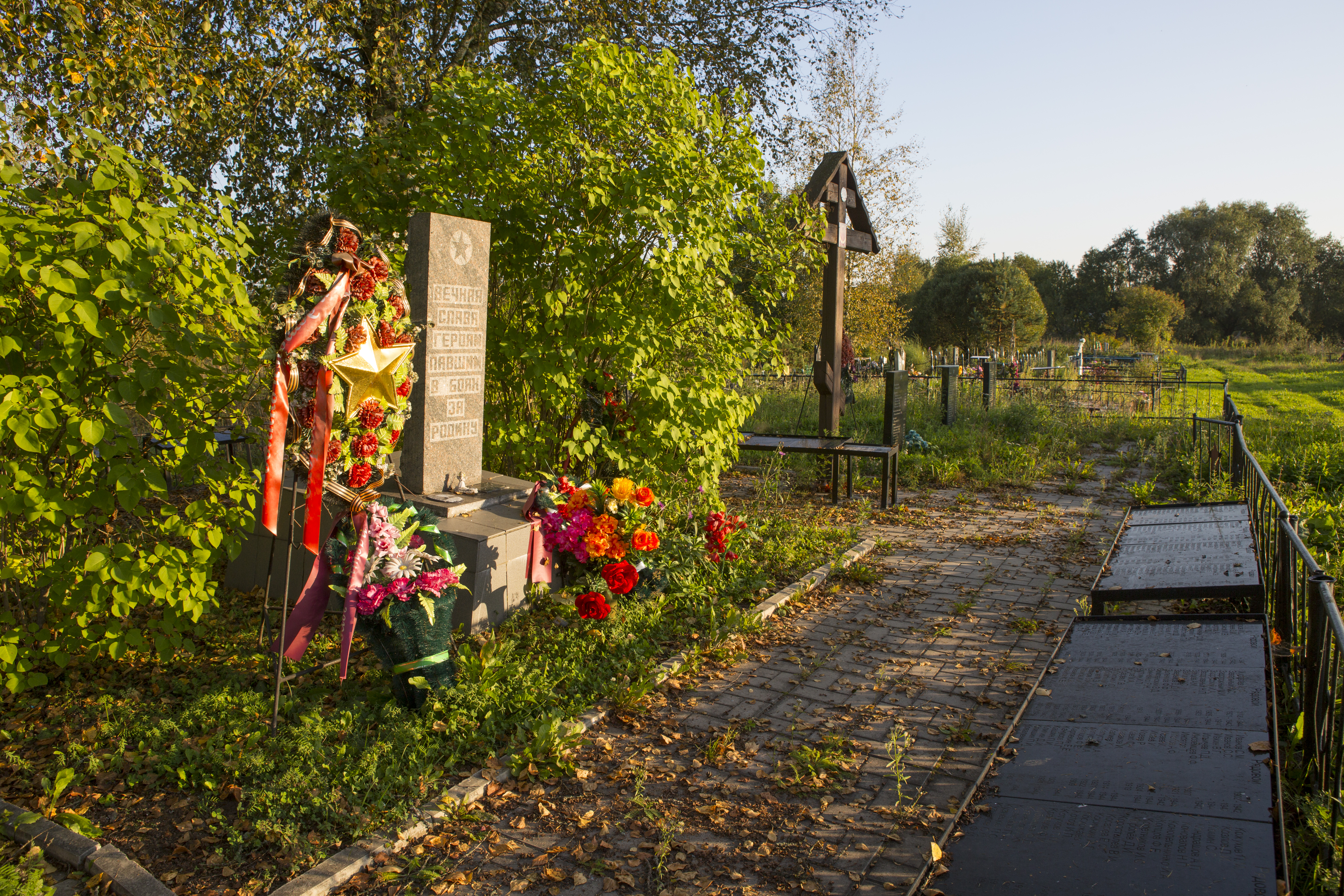 Трубичинское сельское поселение новгородский