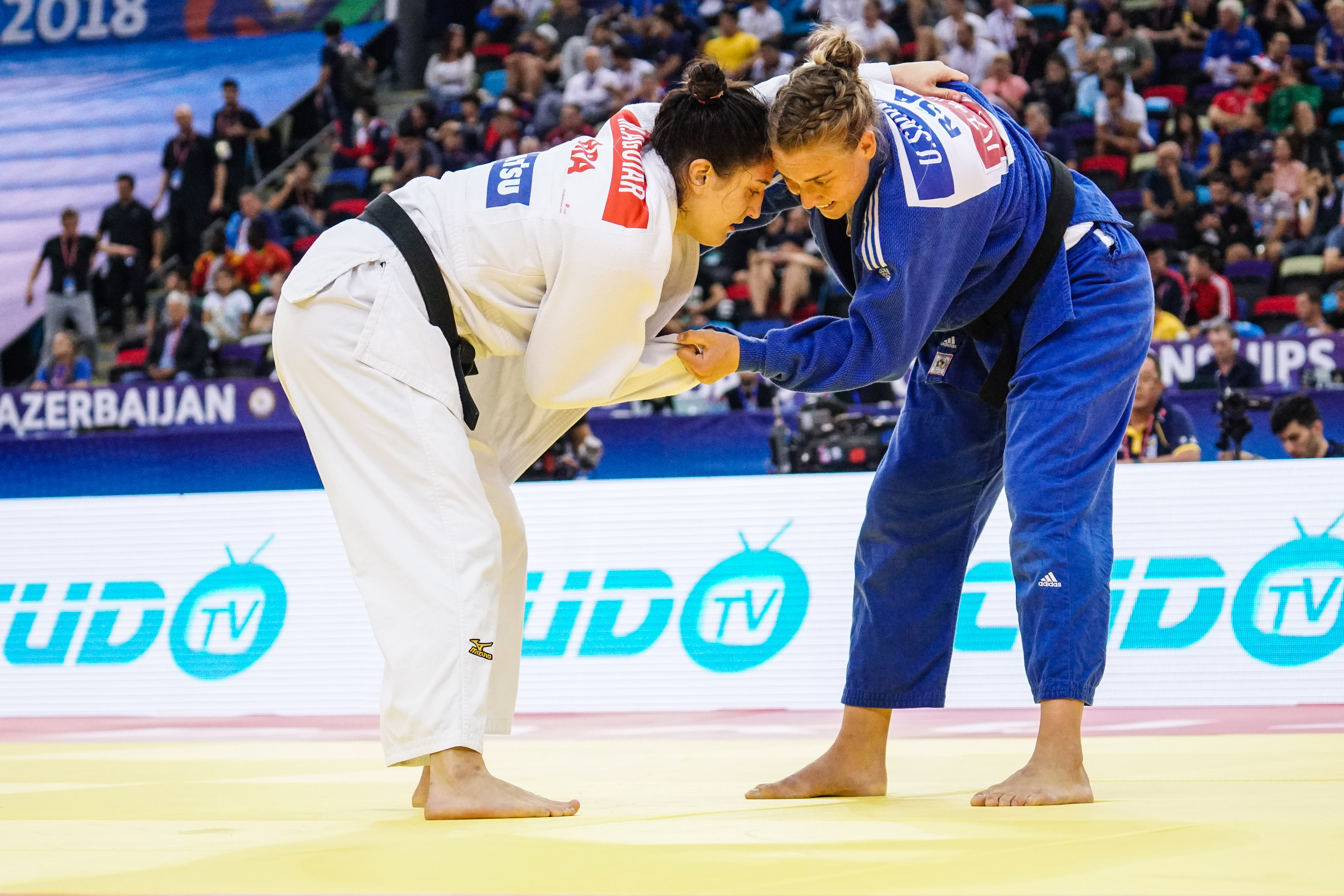 2022 World Judo Championships - Wikipedia