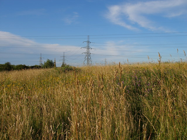 Across the wildflower meadow towards the pylons - geograph.org.uk - 497354