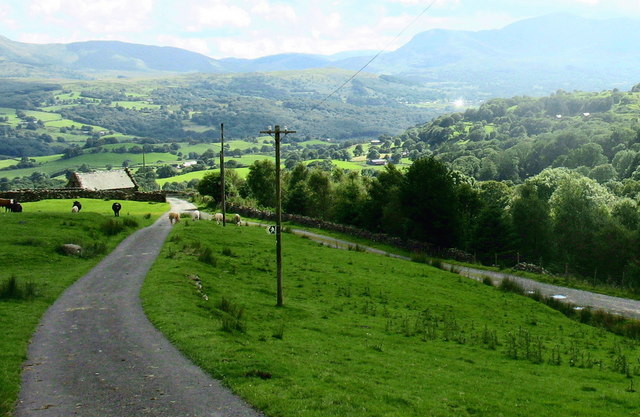 File:Approaching the junction of the upper and lower forest access roads - geograph.org.uk - 546550.jpg