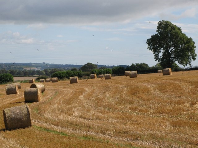 File:Arable land near South Clarewood - geograph.org.uk - 617386.jpg