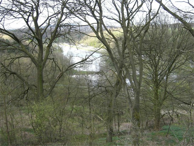 Bath Pool and woods - geograph.org.uk - 163276