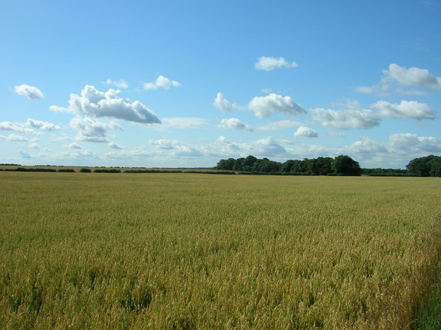 File:Blanch Farm Farmland - geograph.org.uk - 1414143.jpg