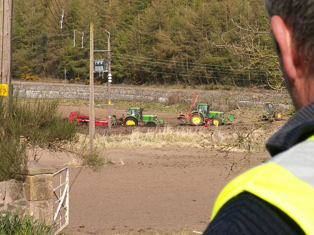 File:Bogged down in Brackmont - geograph.org.uk - 772771.jpg