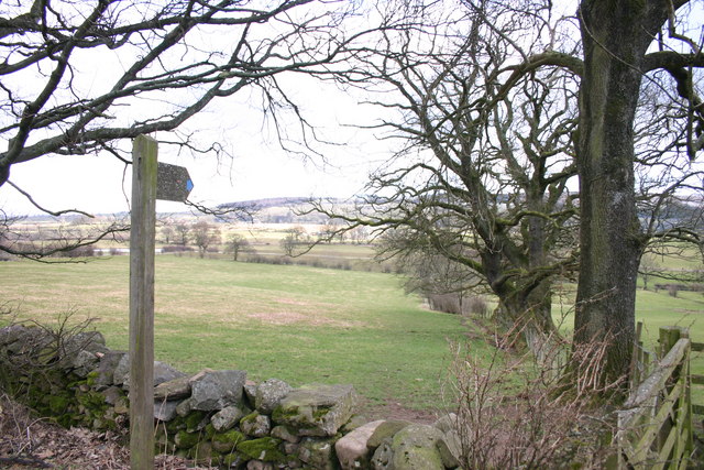 File:Bridleway to River Eamont from Soulby - geograph.org.uk - 129761.jpg