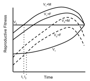 File:Case 2 of Mate Desertion Model (Adapted from Lazarus 1990).png