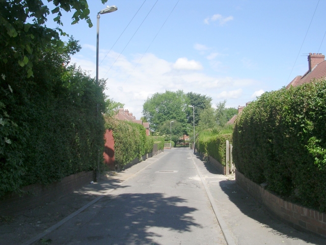 File:Catherine Street - First Avenue - geograph.org.uk - 1339712.jpg