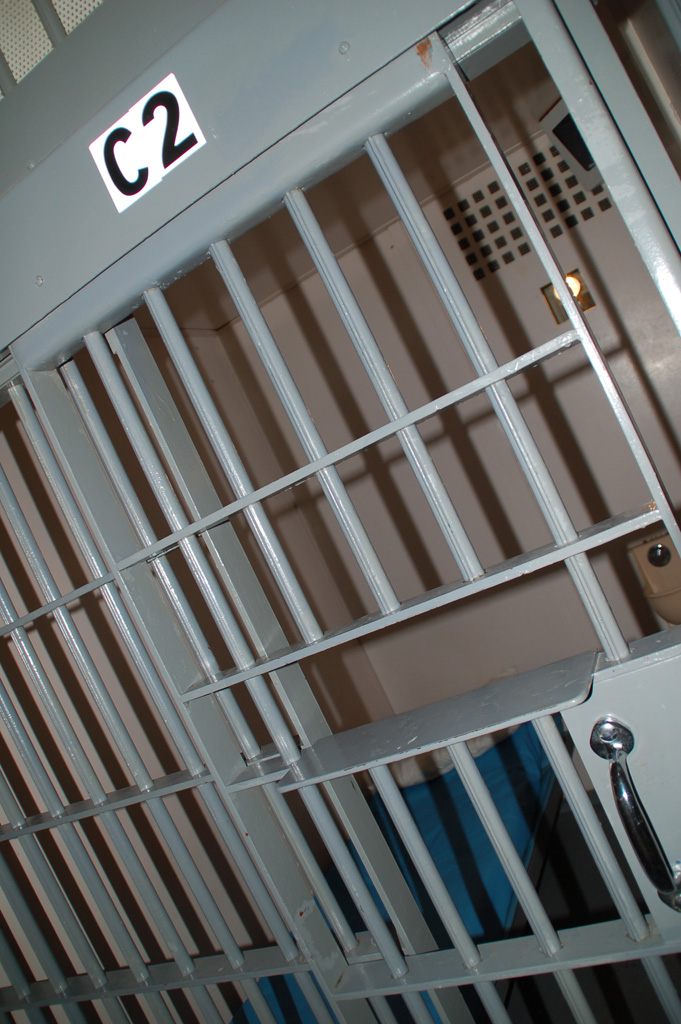 Trans in Custody: Gender affirmation for incarcerated trans people