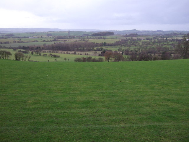 File:Grazing south of Kirkby Overblow - geograph.org.uk - 3798234.jpg