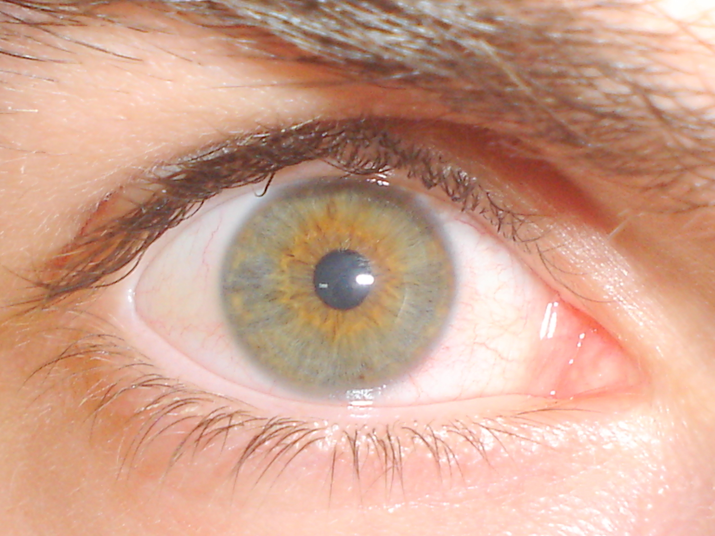 Девять глаз. Hazel глаза. Хазел цвет глаз. Хейзел цвет глаз. Hazel цвет глаз.