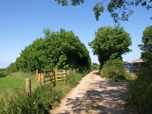 File:Lane from Holsome - geograph.org.uk - 1376298.jpg