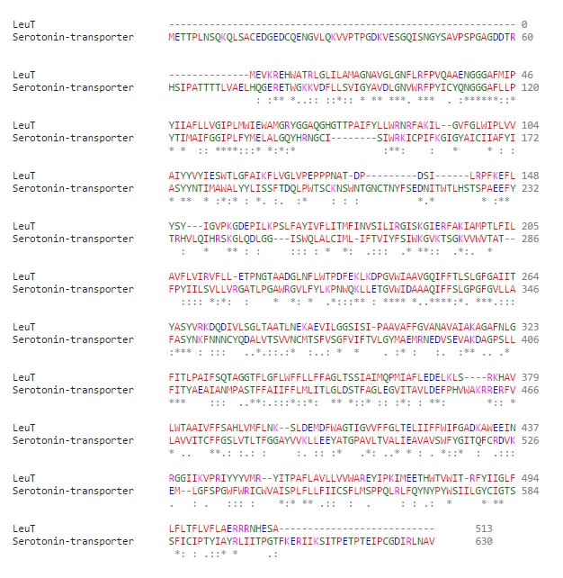 Сравнение на последователността между LeuT и човешкия серотонинов транспортер, генериран с помощта на Clustal Omega.