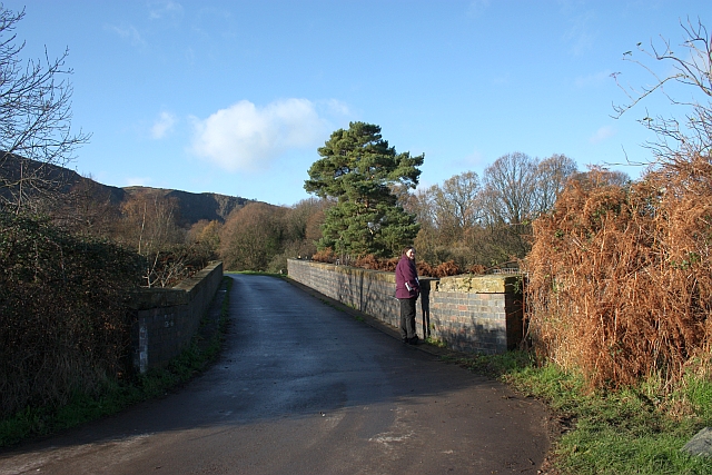 File:Moorlands Road railway bridge - geograph.org.uk - 1621449.jpg