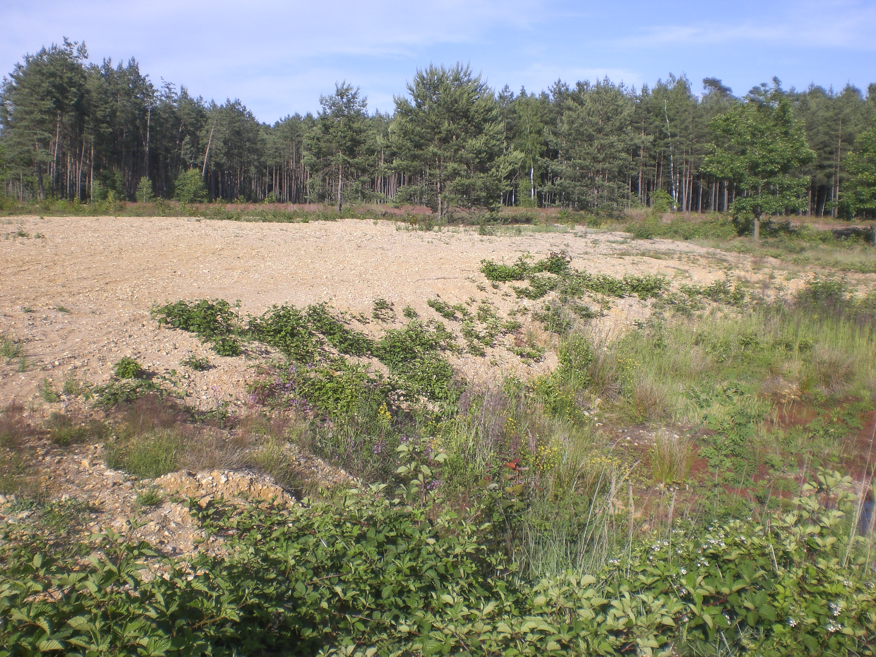 This is a picture of the protected area listed at WDPA under the ID