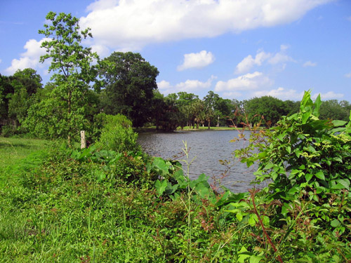 File:New Orleans City Park May 2004.jpg