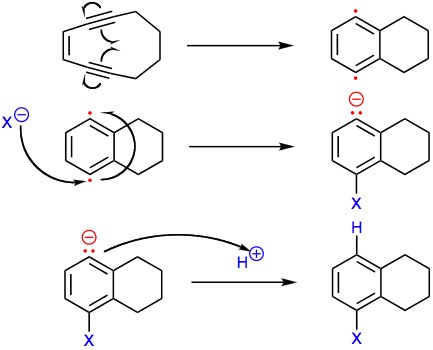 P-Benzyne.jpg-ga nukleofil qo'shilishi