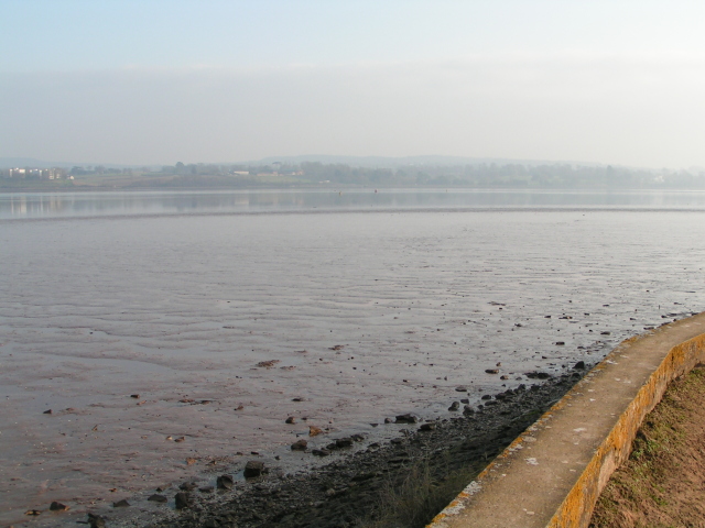 File:River Exe mud flats and river bank - geograph.org.uk - 1103440.jpg