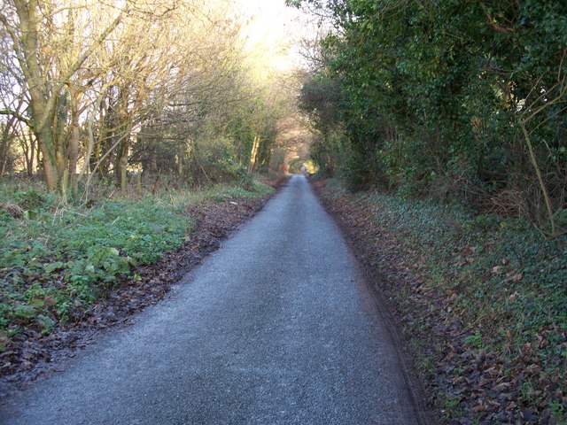 File:Road to Broadwell - geograph.org.uk - 1608965.jpg