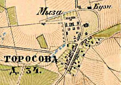 План деревни Торосово. 1885 год