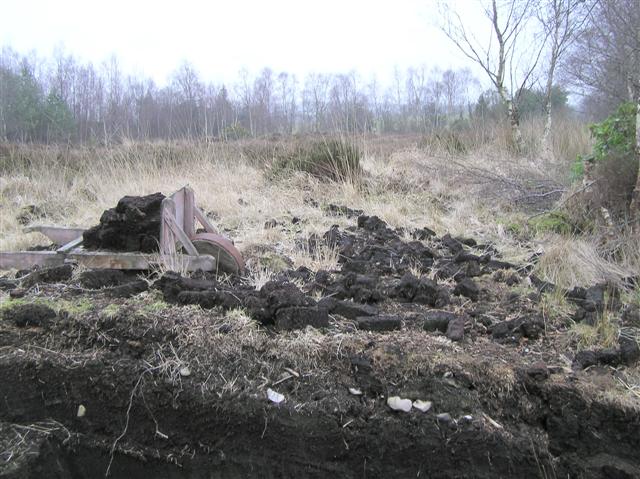 File:Turf Bank, Ulster American Folkpark - geograph.org.uk - 284085.jpg