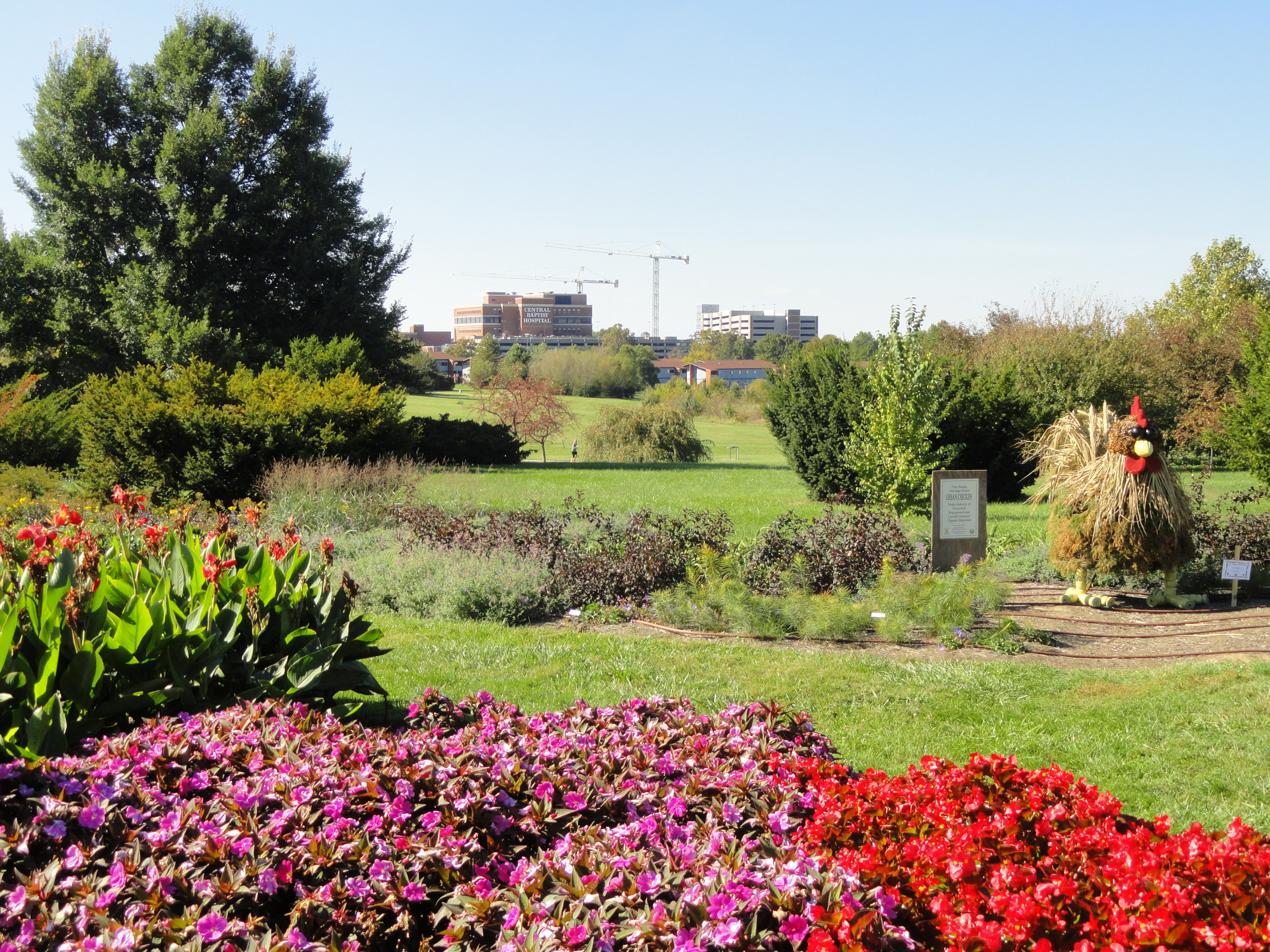 Photo of University of Kentucky Arboretum