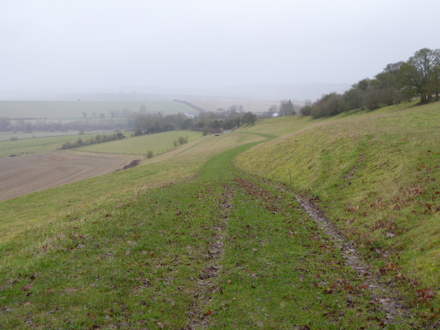 File:Westfield Farm Chalk Bank (1).jpg