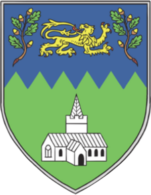 File:Wicklow county arms.png