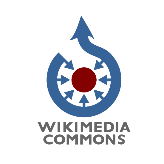 
                        <p><b>Collaboration towards generating contents for Wikicommons (Colaboração para a geração de conteúdo para Wikicommons)</b></p>
                    